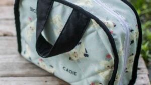 https://sewcanshe.com/2016-4-9-diy-toaster-lunchbox-free-sewing-tutorial/